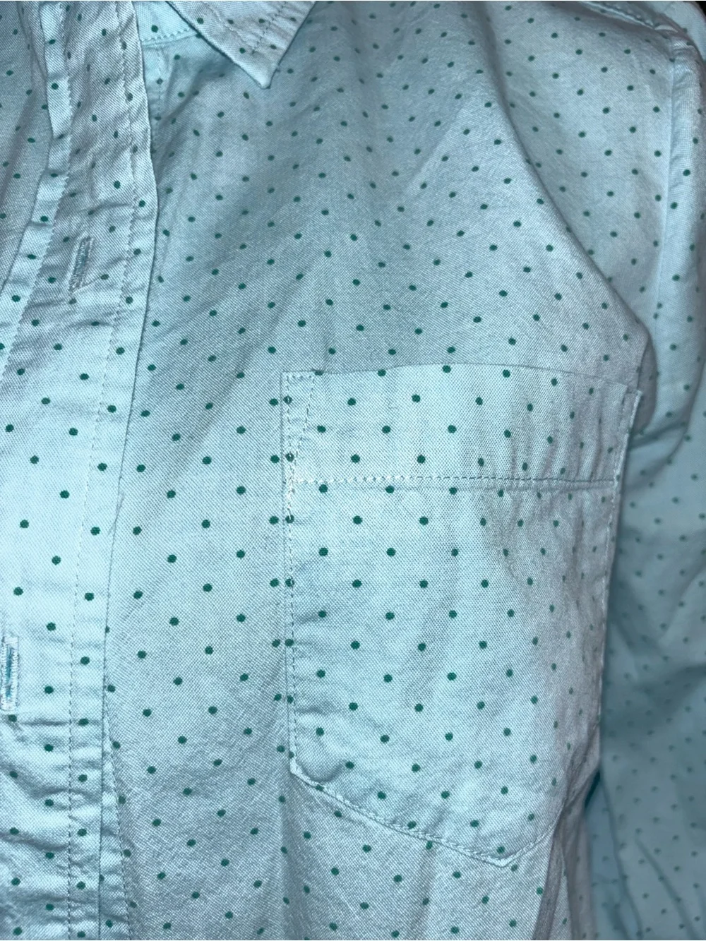 J.Crew polka dot oxford print blouse.